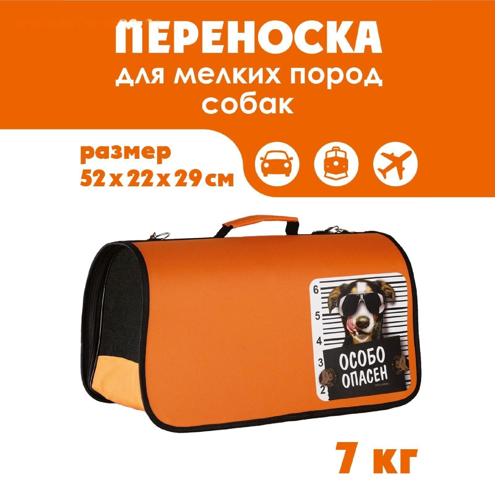 Сумка - переноска раскладная, каркасная «Особо опасен» 52x22x29 см