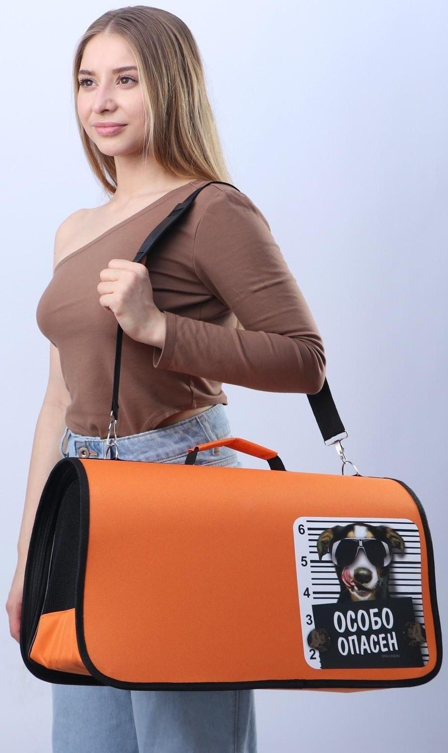 Сумка - переноска раскладная, каркасная «Особо опасен» 52x22x29 см