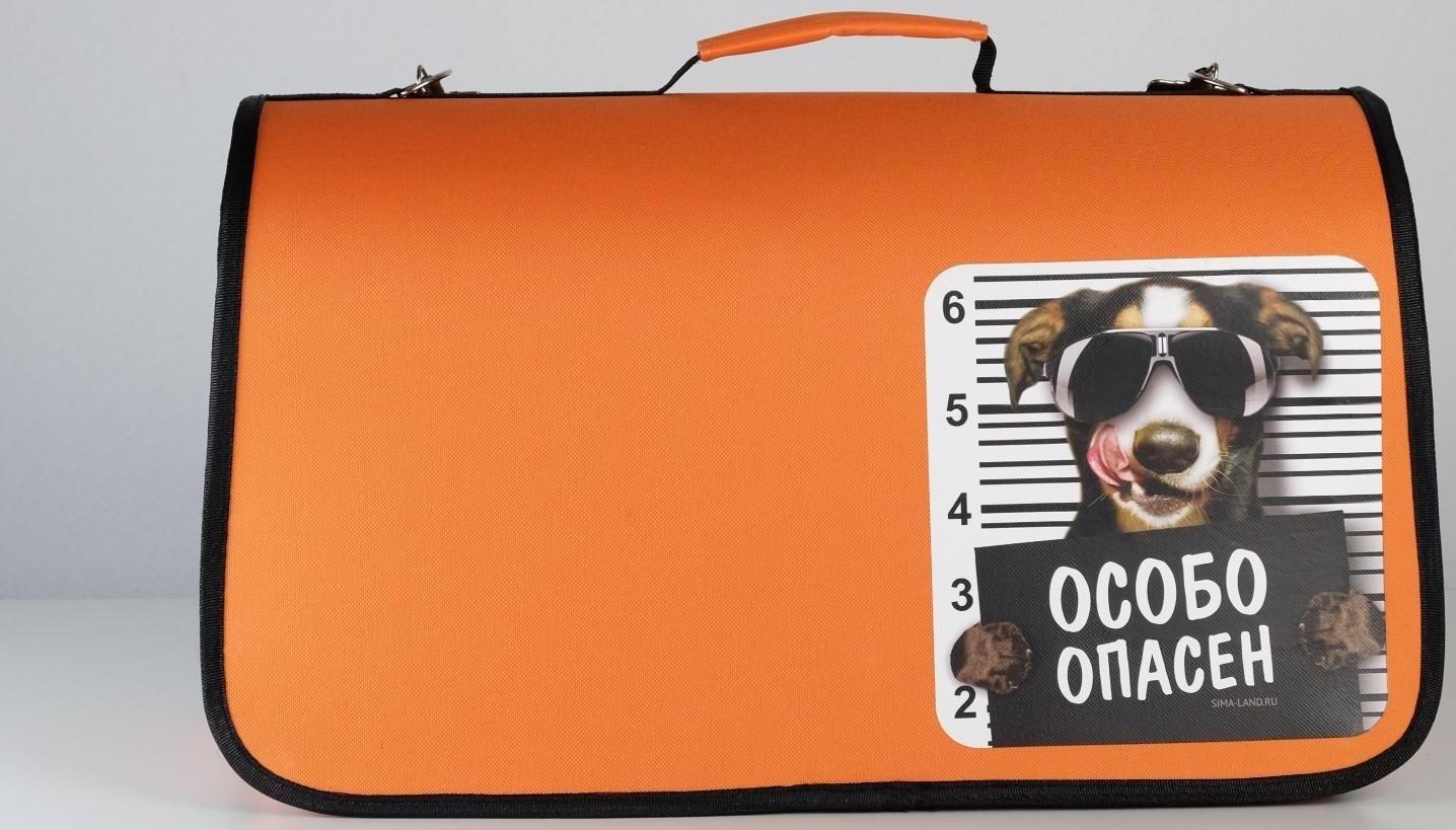 Сумка - переноска раскладная, каркасная «Особо опасен» 52x22x29 см