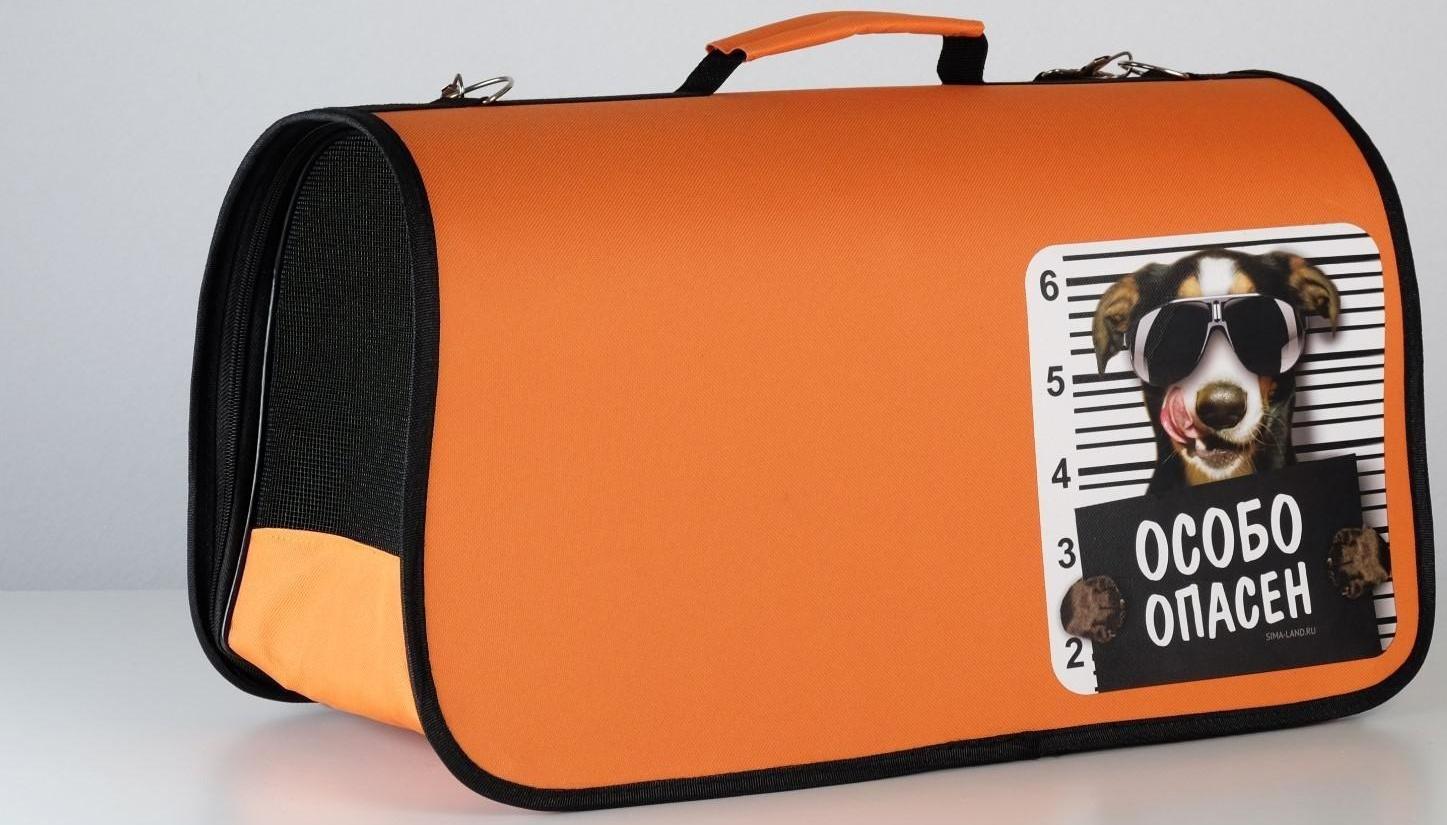 Сумка - переноска раскладная, каркасная «Особо опасен» 52x22x29 см
