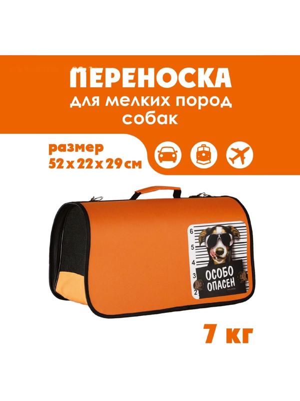 Сумка - переноска раскладная, каркасная «Особо опасен» 52x22x29 см