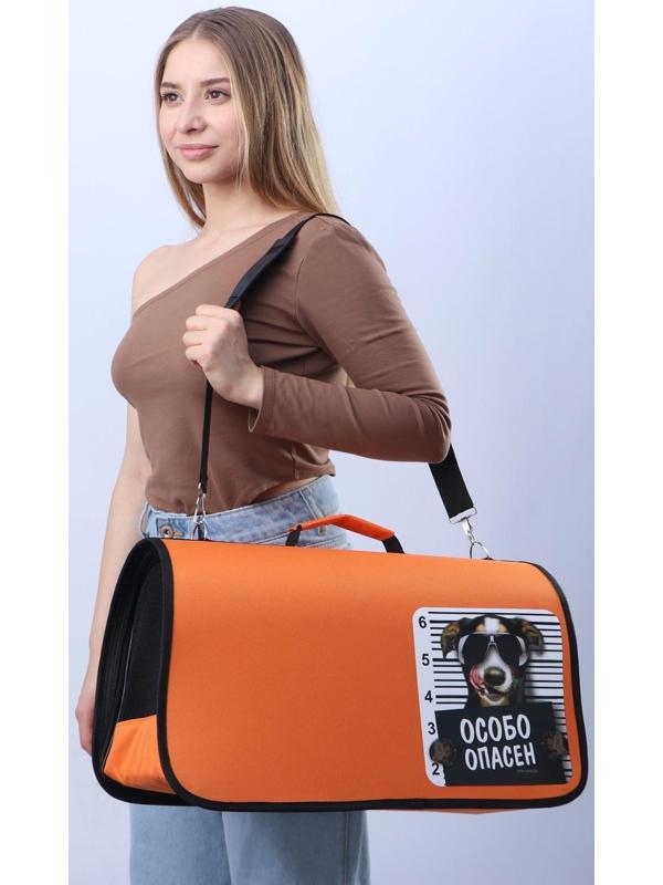 Сумка - переноска раскладная, каркасная «Особо опасен» 52x22x29 см