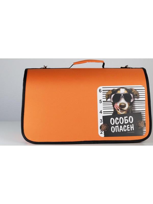 Сумка - переноска раскладная, каркасная «Особо опасен» 52x22x29 см