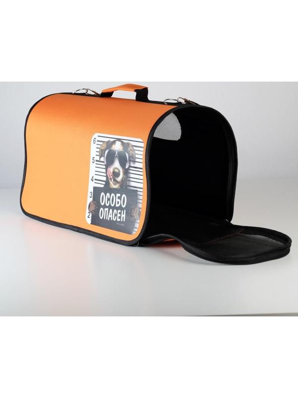 Сумка - переноска раскладная, каркасная «Особо опасен» 52x22x29 см