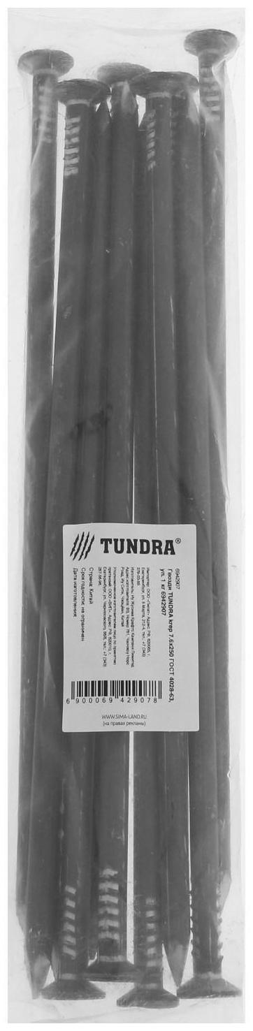Гвозди ТУНДРА krep 7.6х250 мм, ГОСТ 4028-63, уп. 1 кг