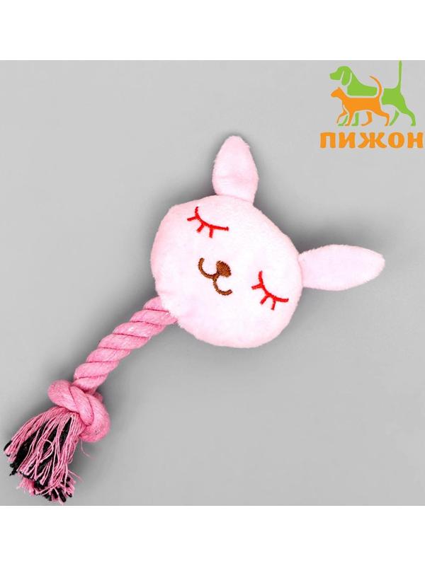 Игрушка мягкая для собак 