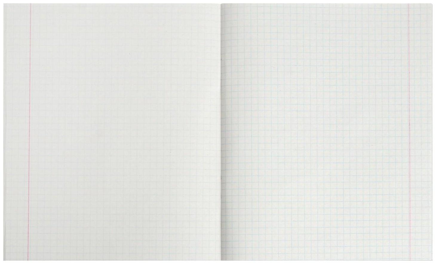 Тетради 48 листов в клетку Calligrata 