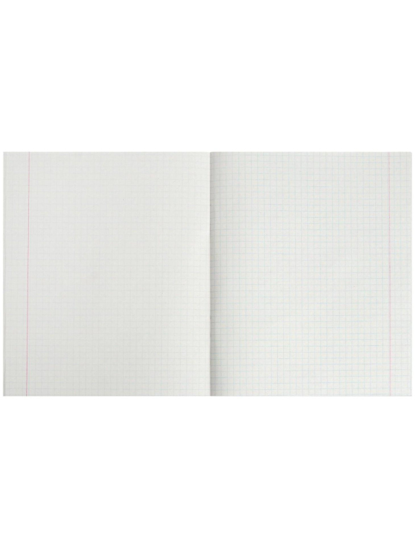 Тетради 48 листов в клетку Calligrata 
