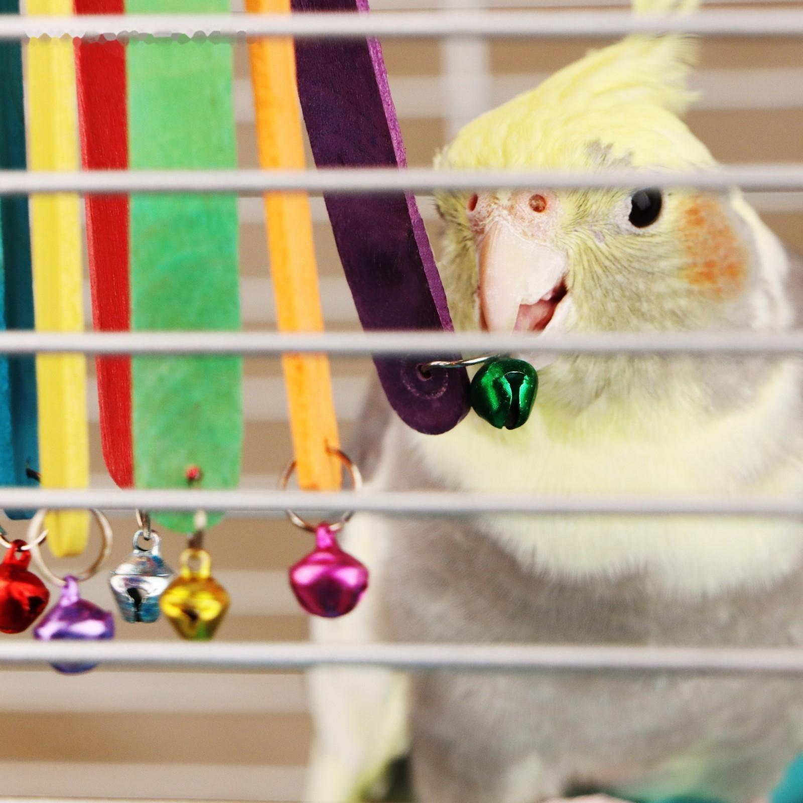 Игрушка для птиц 