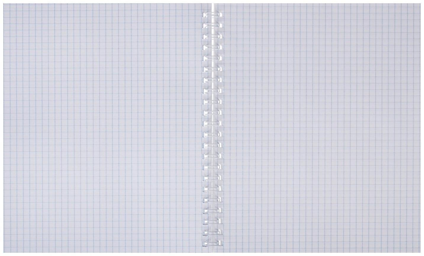 Тетрадь А5+, 80 листов в клетку, на гребне 