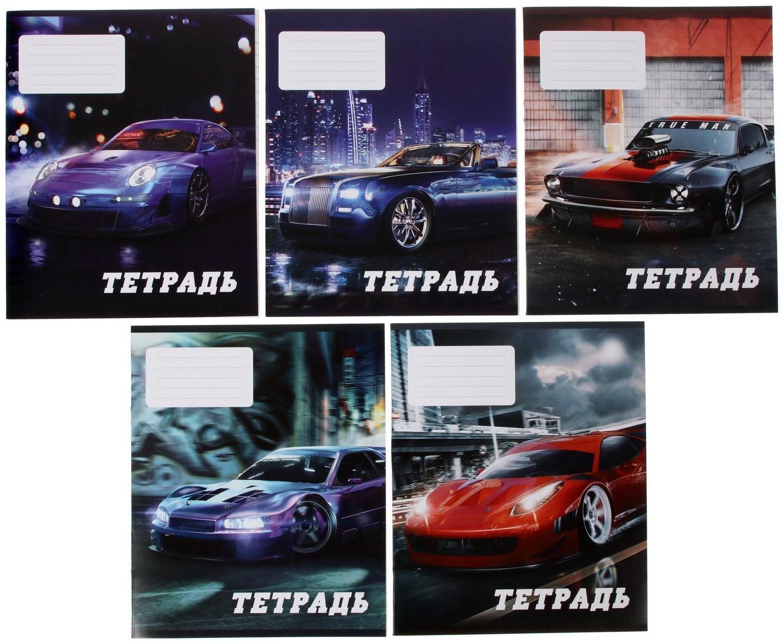 Тетрадь 24 листа в линию Calligrata 