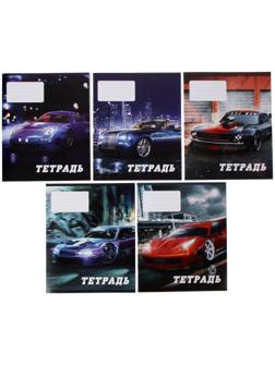 Тетрадь 24 листа в линию Calligrata 