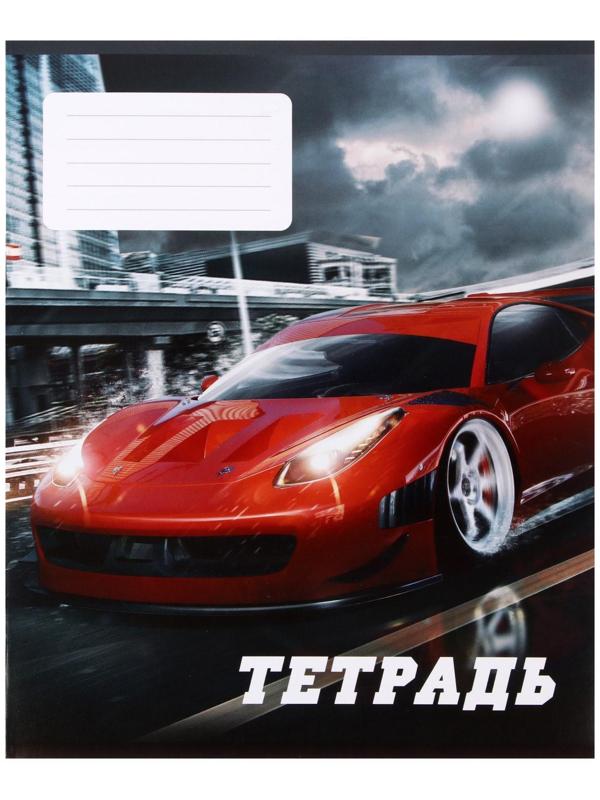 Тетрадь 24 листа в линию Calligrata 