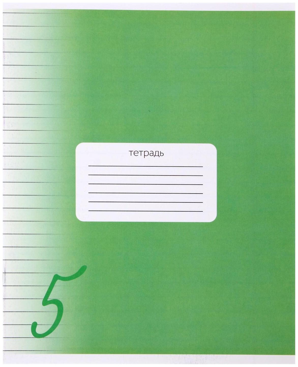 Тетрадь 24 листа в линию Calligrata 