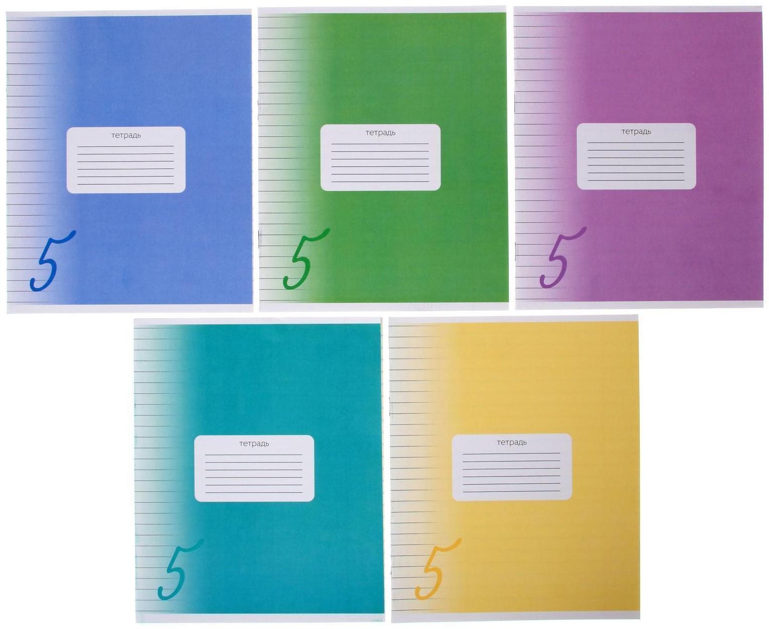 Тетрадь 24 листа в линию Calligrata 