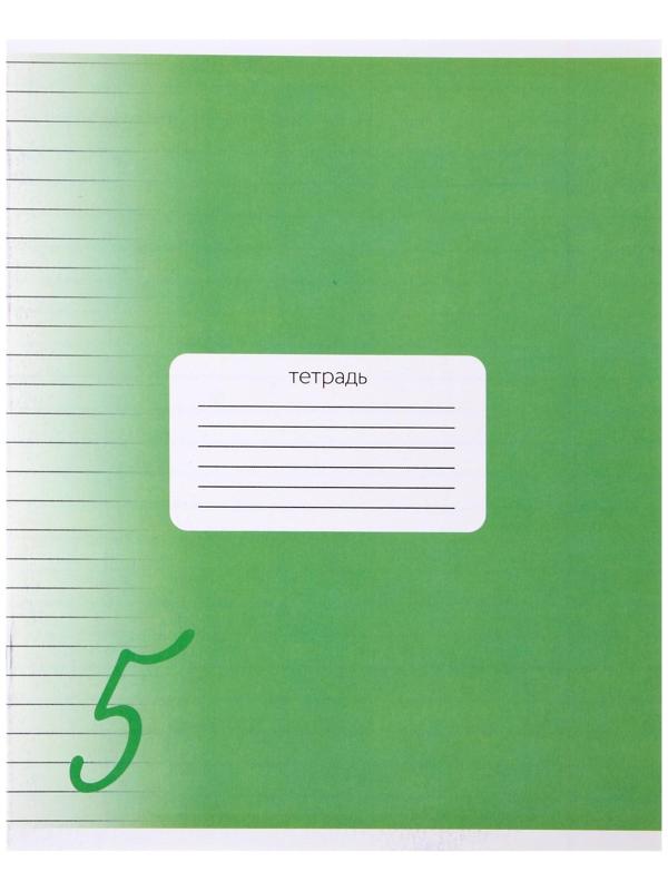 Тетрадь 24 листа в линию Calligrata 