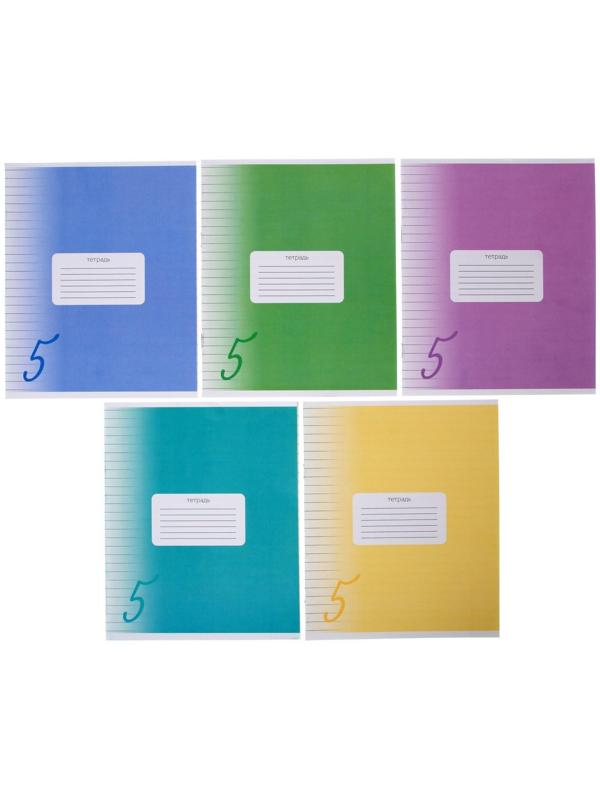 Тетрадь 24 листа в линию Calligrata 