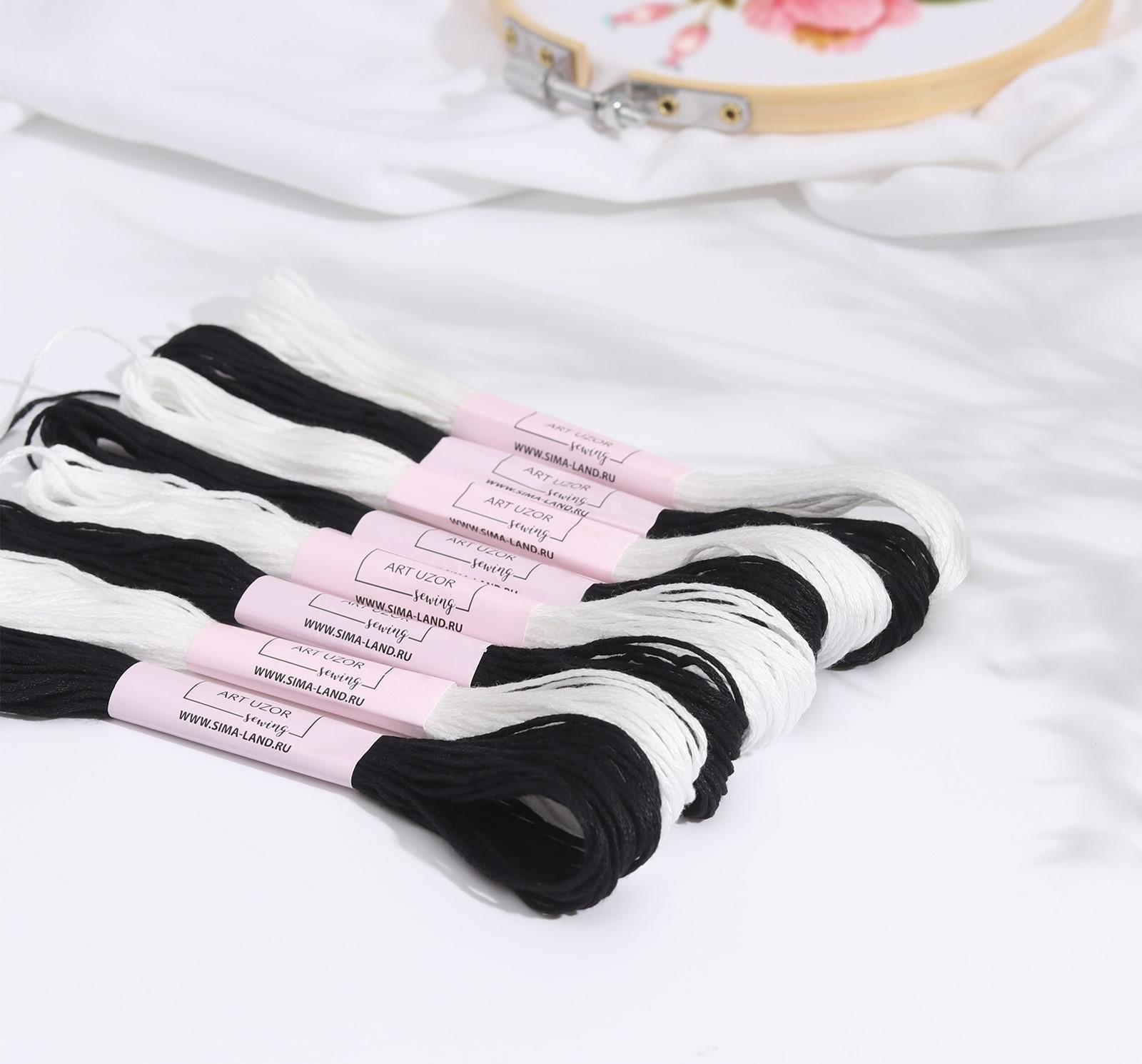 Набор ниток мулине «Зебра», 8 ± 1 м, 8 шт