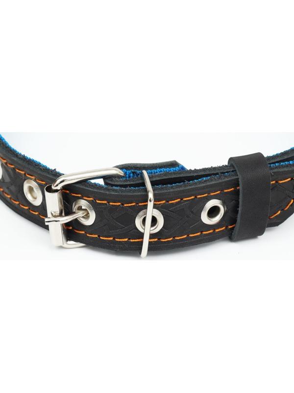 Ошейник кожаный усиленный капроном с полукольцом, 55 х 2,5 см, ОШ 27-53 см, чёрный