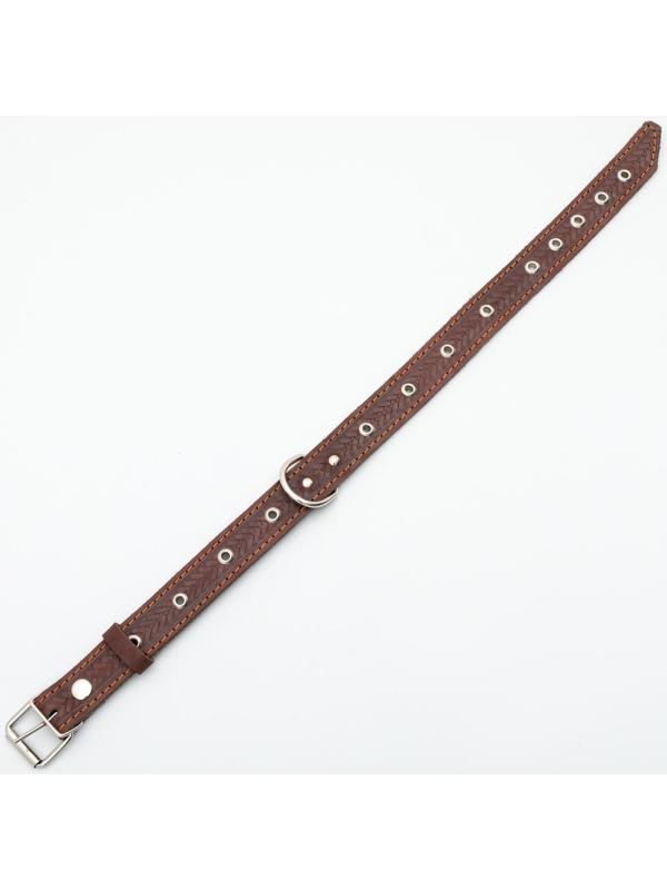 Ошейник комбинированный безразмерный, кожа/брезент, 60х3 см, ОШ 30-57 см, коричневый/зелёный