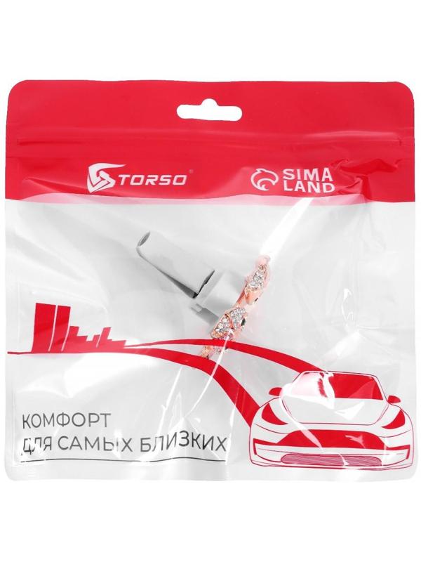 Украшение в дефлектор автомобиля 