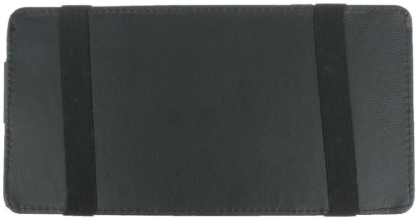 Органайзер на солнцезащитный козырек, 30×14.5 см, черный