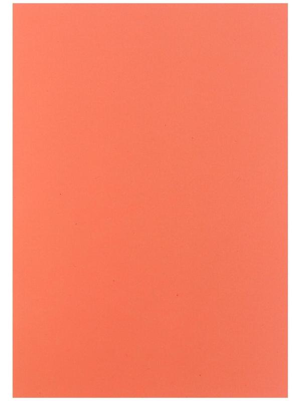 Бумага цветная А4, 100 листов, неоновая, 5 цветов, 80г/м2