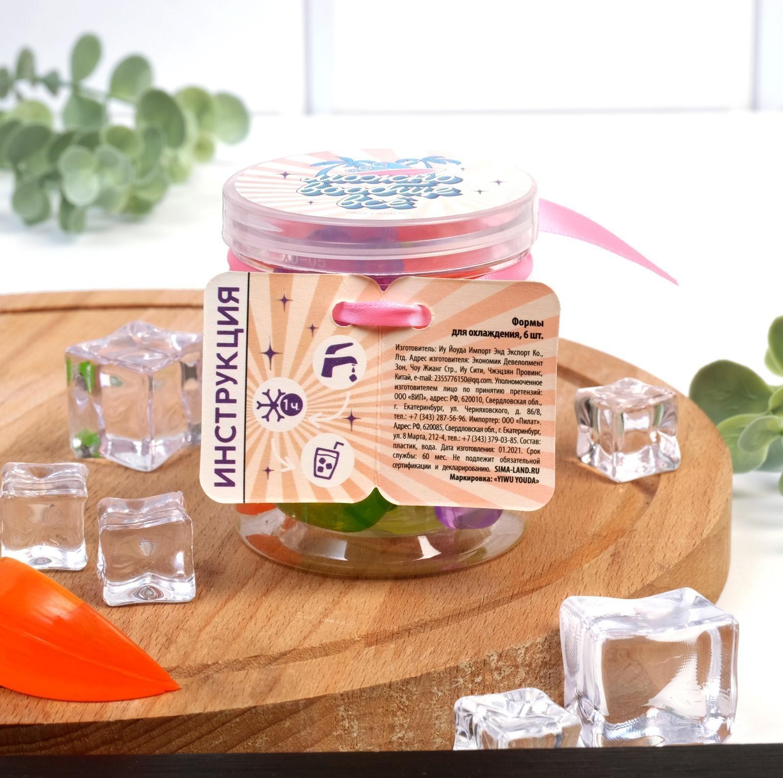 Кубики льда «Можно вообще все», многоразовые, 6 шт