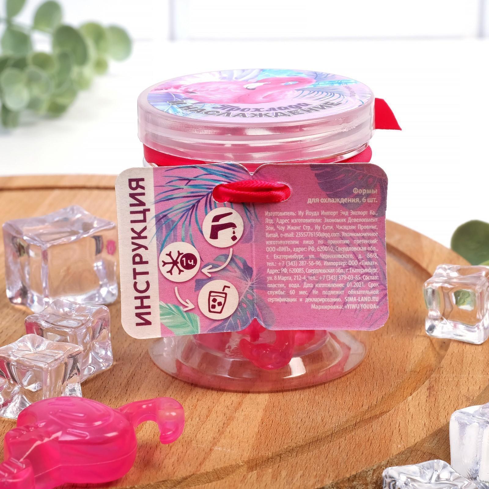 Кубики льда «Прохлада и наслаждение», многоразовые, 6 шт