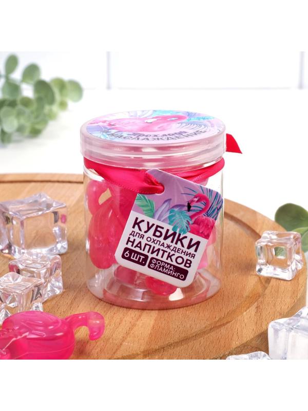 Кубики льда «Прохлада и наслаждение», многоразовые, 6 шт