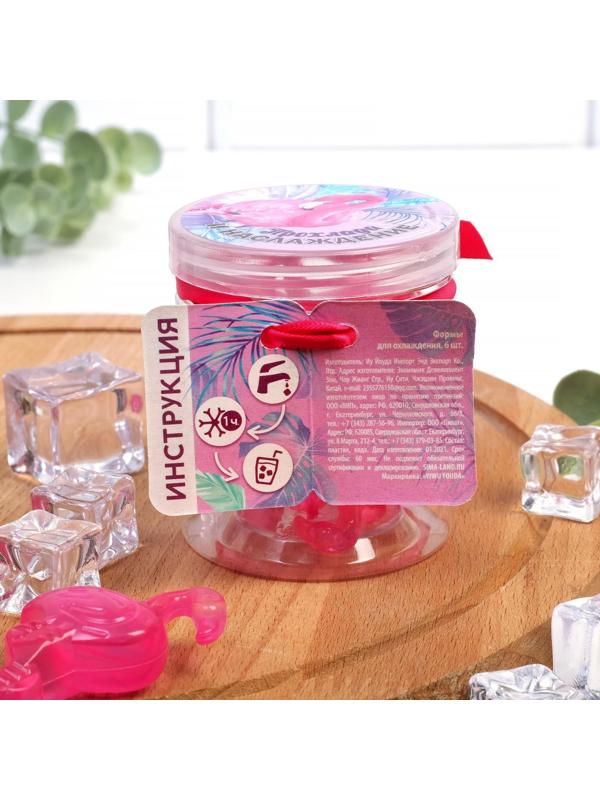 Кубики льда «Прохлада и наслаждение», многоразовые, 6 шт