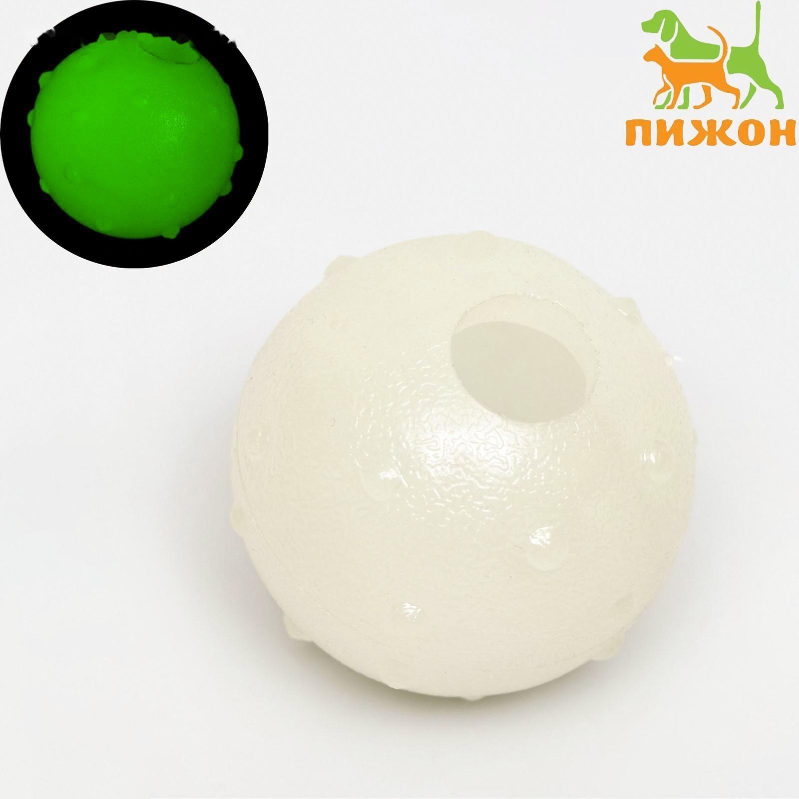 Игрушка для собак, светящаяся в темноте, 