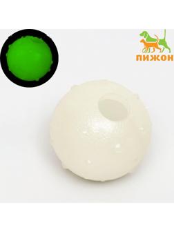 Игрушка для собак, светящаяся в темноте, 