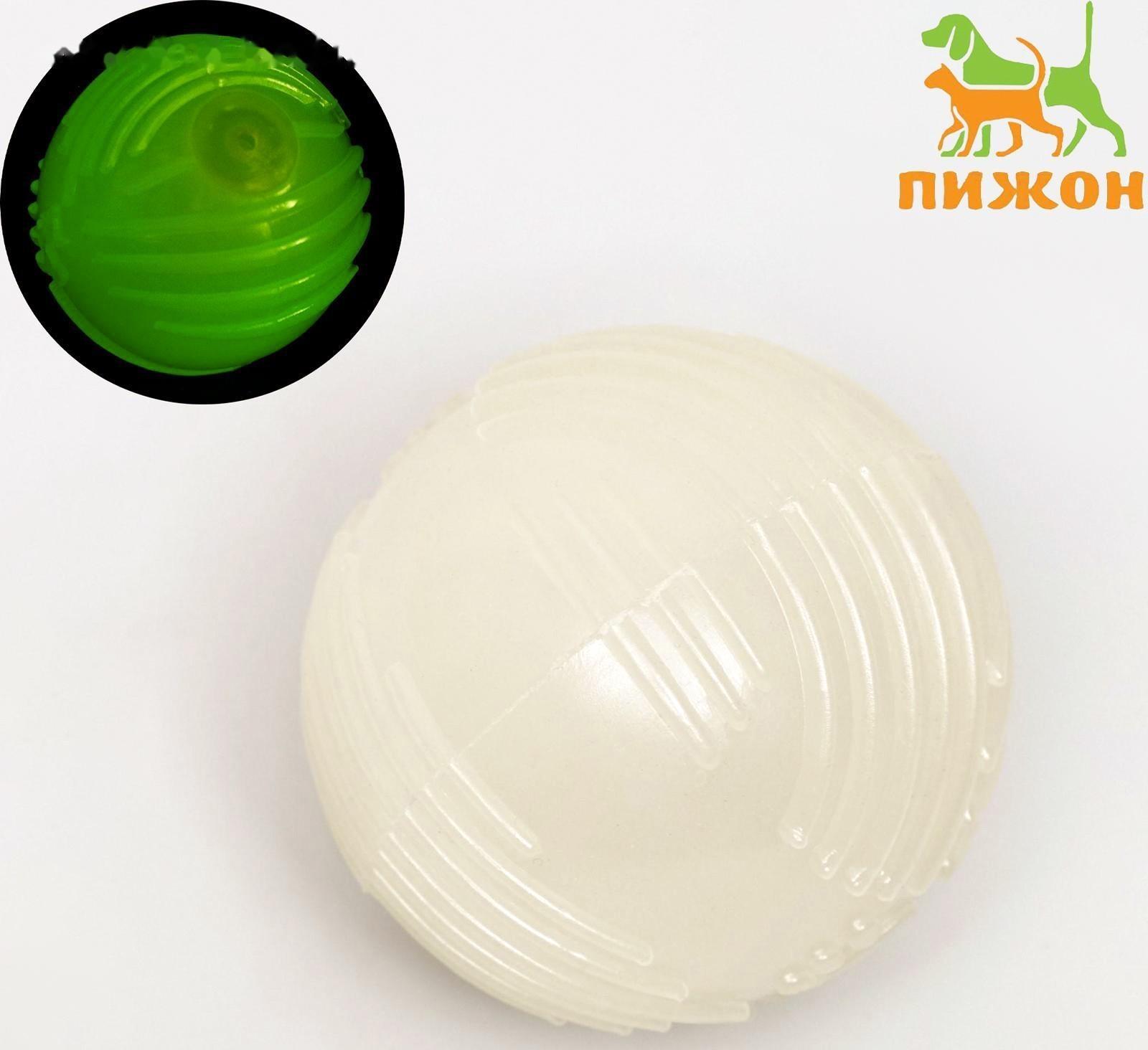 Игрушка для собак, светящаяся в темноте, 