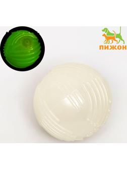 Игрушка для собак, светящаяся в темноте, 
