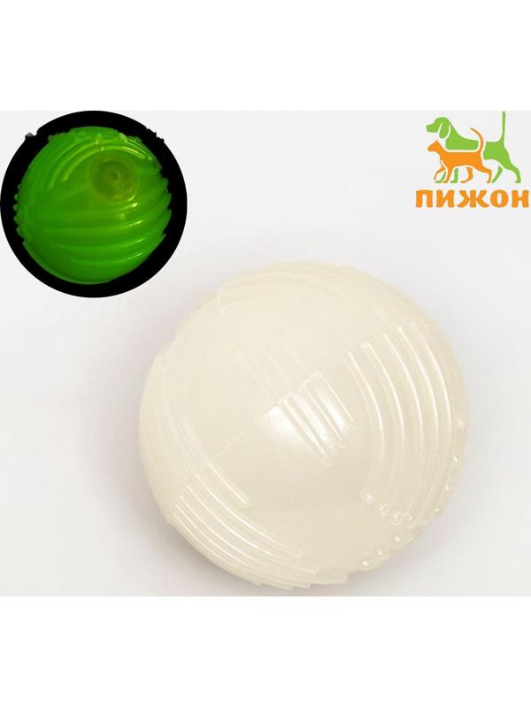 Игрушка для собак, светящаяся в темноте, 