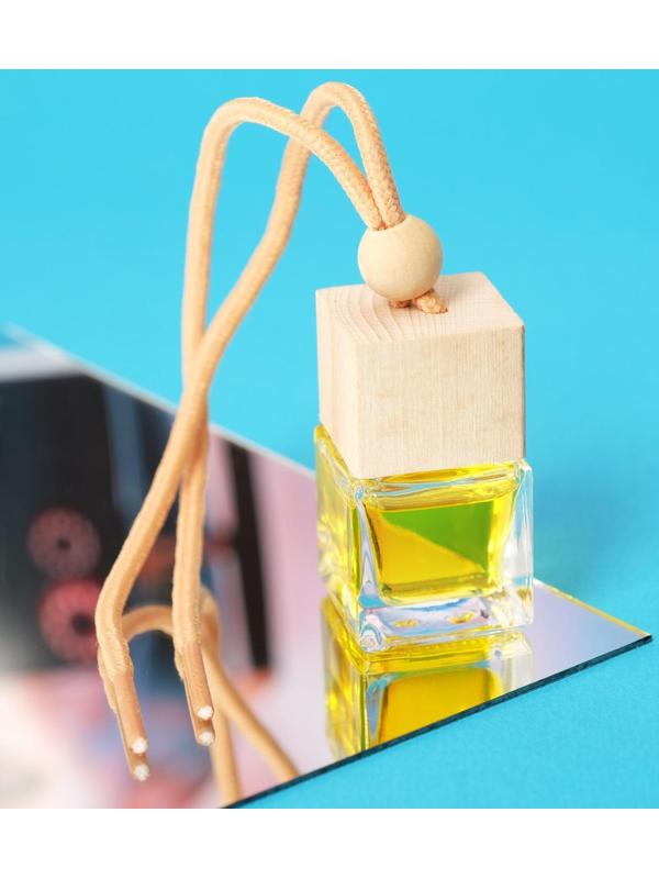 Ароматизатор подвесной в бутылочке, размер XXL «Тропики»