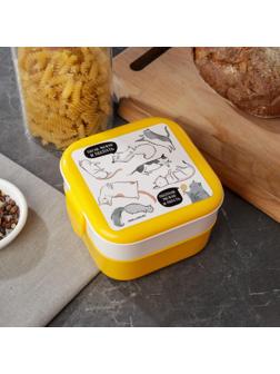 Ланч-бокс двухуровневый