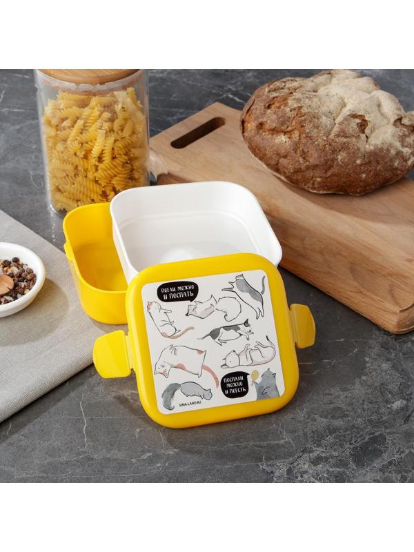 Ланч-бокс двухуровневый