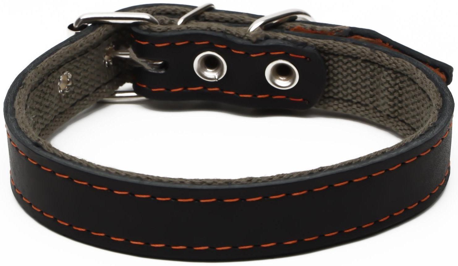 Ошейник комбинированный кожа/брезент, 53 х 2.5 см, ОШ 35-45 см, чёрный