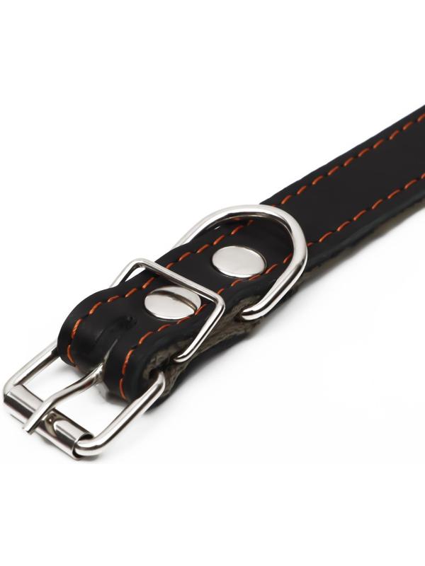 Ошейник комбинированный кожа/брезент, 53 х 2.5 см, ОШ 35-45 см, чёрный