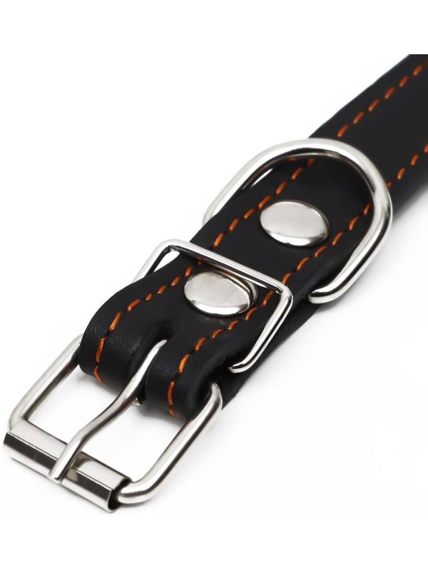 Ошейник кожаный на синтепоне, безразмерный, 54 х 2,5 см, ОШ 19-47 см, чёрный