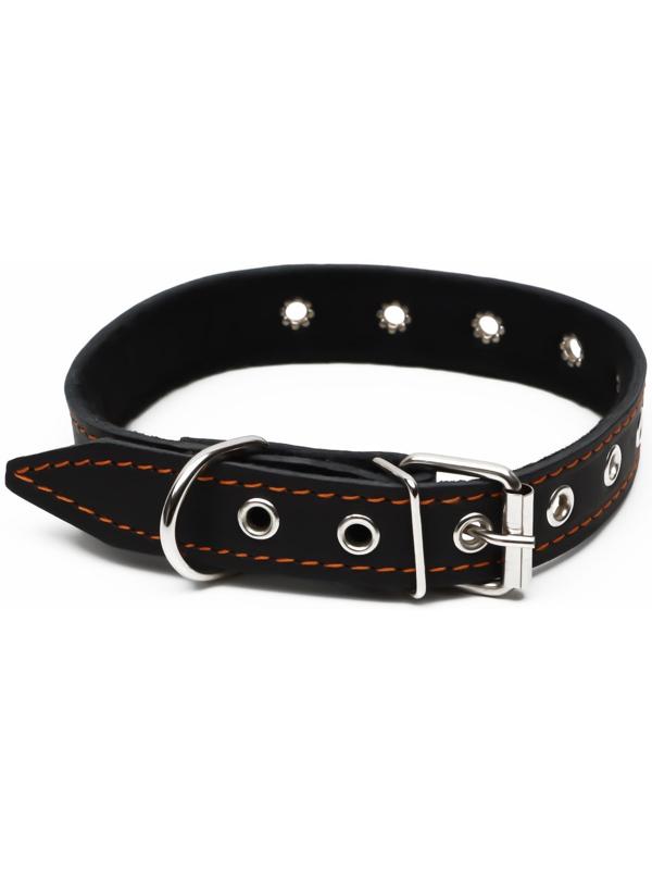 Ошейник кожаный на синтепоне, безразмерный, 54 х 2,5 см, ОШ 19-47 см, чёрный