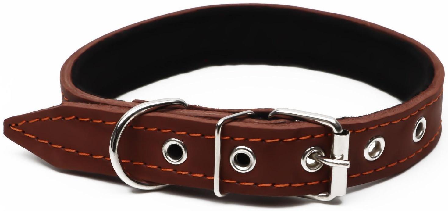 Ошейник кожаный на синтепоне, 56 х 2.5 см, ОШ 35-45 см, коричневый