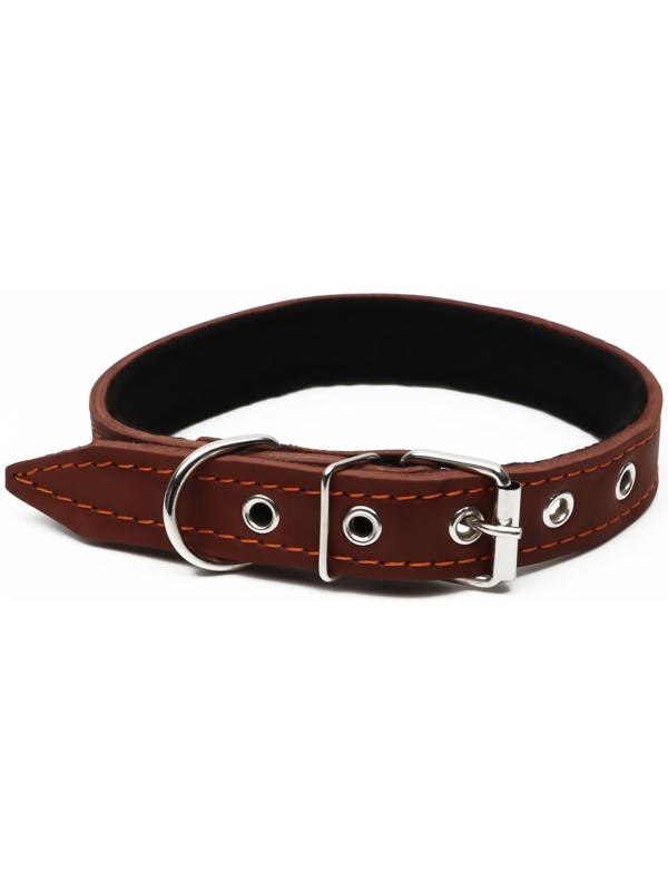 Ошейник кожаный на синтепоне, 56 х 2.5 см, ОШ 35-45 см, коричневый