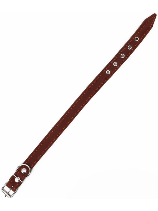 Ошейник кожаный на синтепоне, 56 х 2.5 см, ОШ 35-45 см, коричневый