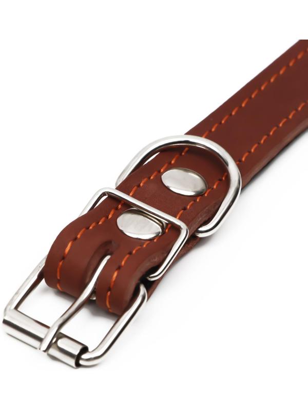 Ошейник кожаный на синтепоне, 56 х 2.5 см, ОШ 35-45 см, коричневый