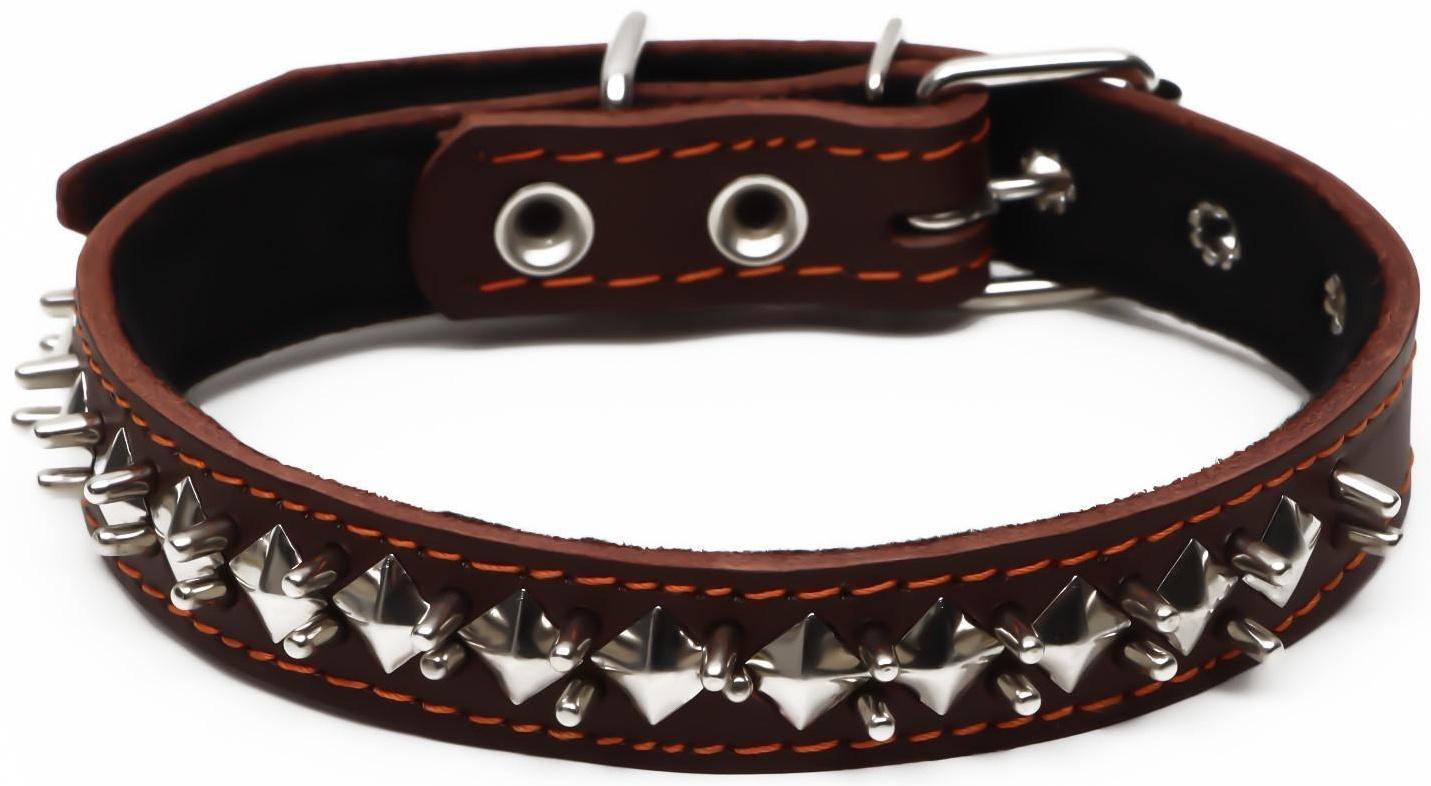 Ошейник кожаный на синтепоне 