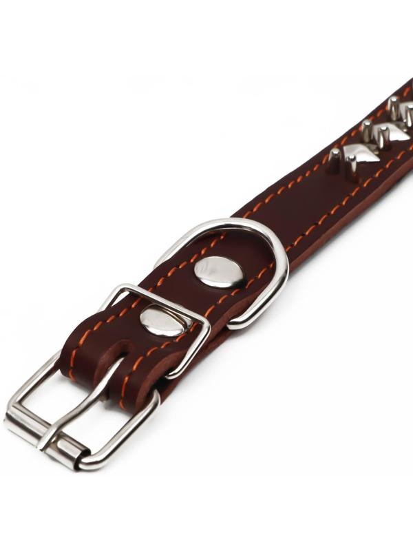 Ошейник кожаный на синтепоне 