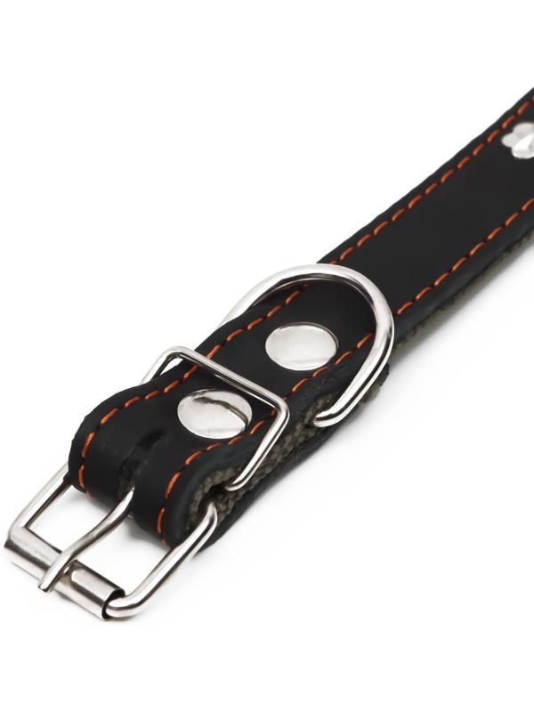 Ошейник комбинированный кожа/брезент, 54 х 2,5 см, украшенный, ОШ 35-45 см, черный